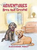 The Adventures of Bryn and Crystal 1398404616 Book Cover