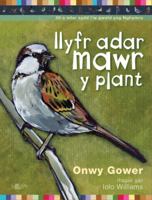 Llyfr Adar Mawr y Plant 1784617776 Book Cover