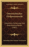 Osterreichisches Zivilprozessrecht: Erkenntnis, Sicherungs Und Exekutionsverfahren (1907) 1161013369 Book Cover