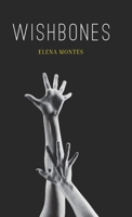 Wishbones B0GW4KYXMK Book Cover