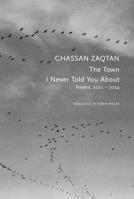 Town I Never Told You About : Poems, 2022-2024 1803096063 Book Cover