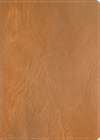 CSB He Reads Truth Bible, Holman Handcrafted Collection, Saddle Brown Premium Calfskin B0DVY1MHJP Book Cover