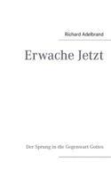 Erwache Jetzt: Der Sprung in die Gegenwart Gottes 3842345453 Book Cover