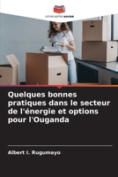 Quelques bonnes pratiques dans le secteur de l'énergie et options pour l'Ouganda (French Edition) 6206519813 Book Cover