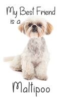 My best Friend is a Maltipoo: 8” x 5” Blank lined Journal Notebook 120 College Ruled Pages - Maltese Toy Miniature Poodle cross (Best Friends) 1671031695 Book Cover