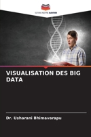 Visualisation Des Big Data (French Edition) 6209864686 Book Cover