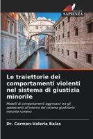 Le traiettorie dei comportamenti violenti nel sistema di giustizia minorile 620537823X Book Cover