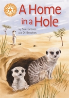 Reading Champion: A Home in a Hole: Independent Reading Orange 6 Non-Fiction 1445176319 Book Cover