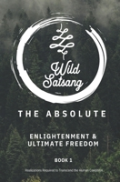 The Absolute: Enlightenment and Ultimate Freedom B0BVDSBZXW Book Cover