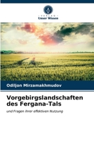 Vorgebirgslandschaften des Fergana-Tals: und Fragen ihrer effektiven Nutzung 6203564060 Book Cover