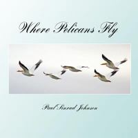 where pelicans fly: a celebration of the extraordinary everyday 1479309583 Book Cover