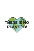 There is no Planet B: Graph Paper Notebook 6x9 inches with 120 pages 1706548249 Book Cover