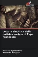 Lettura sinottica della dottrina sociale di Papa Francesco (Italian Edition) 6630062175 Book Cover