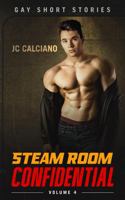 Steam Room Confidential: Volume 4: Gay Short Stories 173644638X Book Cover