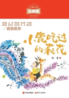??????? (Chinese Edition) 7514383247 Book Cover