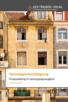 Vermögensschädigung 6202494972 Book Cover