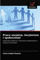 Praca socjalna, terytorium i społeczność: Organizacja społeczna i interwencja środowiskowa w złożonych warunkach 6203629480 Book Cover