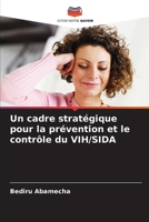 Un cadre stratégique pour la prévention et le contrôle du VIH/SIDA (French Edition) 6207673867 Book Cover