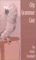 City Grammar Case 0759635080 Book Cover