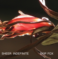 Sheer Indefinite:: Selected Poems, 1991-2011 (Contemporary Poetry 1608010805 Book Cover