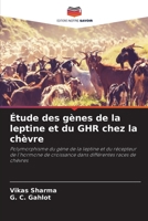 Étude des gènes de la leptine et du GHR chez la chèvre 6206237214 Book Cover