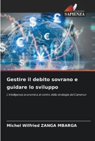 Gestire il debito sovrano e guidare lo sviluppo 6209127517 Book Cover