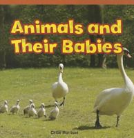 Animals and Their Babies 1448887046 Book Cover