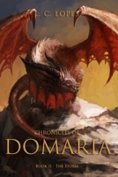 Chronicles of Domaria: Book 2 - The Storm 1976297222 Book Cover