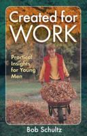 Created for Work: Practical Insights for Young Men 1883934117 Book Cover