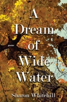 A Dream of Wide Water 1647647088 Book Cover