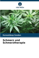 Schmerz und Schmerztherapie (German Edition) 6209521231 Book Cover