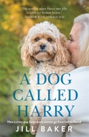 A Dog Called Harry 0733642675 Book Cover