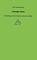 Lebendige Steine 383110266X Book Cover