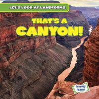 That's a Canyon! 1538263653 Book Cover