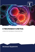 СТВОЛОВАЯ КЛЕТКА: НОВАЯ ПЕРСПЕКТИВА В СТОМАТОЛОГИИ 6206380505 Book Cover