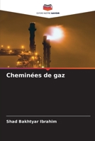 Cheminées de gaz 6205344025 Book Cover