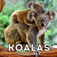 Koalas Calendar 2021: 16-Month Calendar, Cute Gift Idea For Girls & Men B093CHHJBT Book Cover