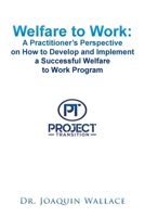 Welfare to Work: A Practitioner?s Perspective on How to Develop and Implement a Successful Welfare to Work Program 1453535446 Book Cover