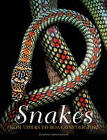 Snakes: From Vipers to Boa Constrictors 1838862846 Book Cover