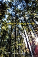 The Quarantine Collection: Looking for a light, in the dark 1088087515 Book Cover