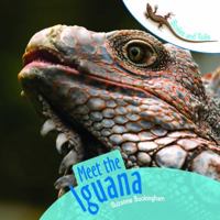 Meet the Iguana (Scales and Tails) 1404244999 Book Cover