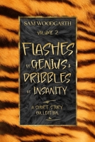 Flashes of Genius & Dribbles of Insanity: A Short Story Collection 1764009827 Book Cover