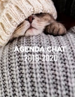 AGENDA CHAT 2019-2020: Agenda 2019-2020 | Planning annuel de 366 pages grand modèle | Organiser votre semaine. Organisation mensuelle de vos ... Organisation hebdomadaire (French Edition) 1675522073 Book Cover