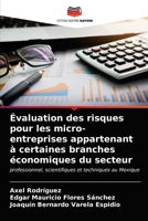 Évaluation des risques pour les micro-entreprises appartenant à certaines branches économiques du secteur 6203543292 Book Cover