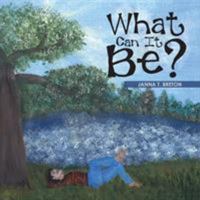 What Can It Be? 152469505X Book Cover