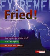 Fried!: When Lightning Strikes 142963121X Book Cover