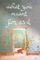 What You Meant For Evil 1737697009 Book Cover