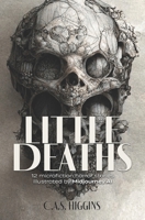 Little Deaths: 12 microfiction horror stories illustrated by Midjourney AI B0BJH94J89 Book Cover