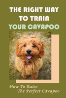 The Right Way To Train Your Cavapoo: How To Raise The Perfect Cavapoo: Training Book For Cavapoo B09BY8BK7J Book Cover
