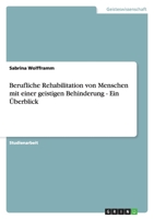 Berufliche Rehabilitation von Menschen mit einer geistigen Behinderung - Ein Überblick 3638769275 Book Cover